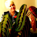 Елена Борисова