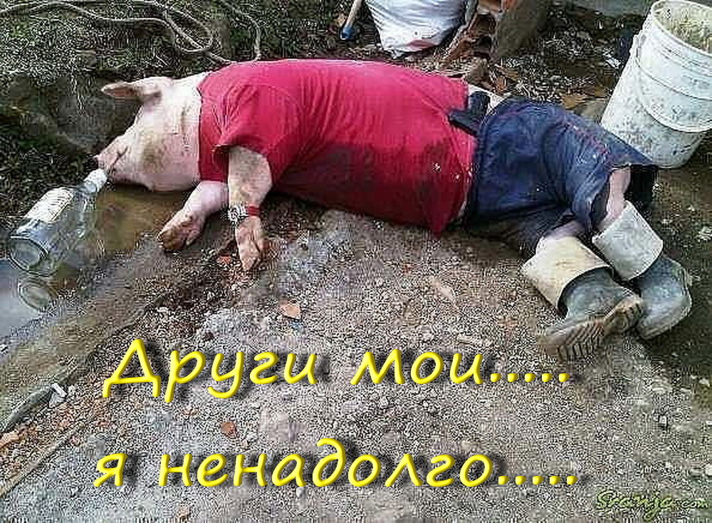 Станислав Штинов