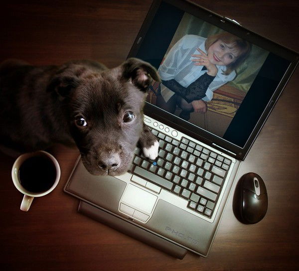 Елена Никитина