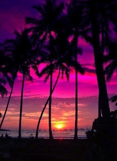 Альмира Мурат