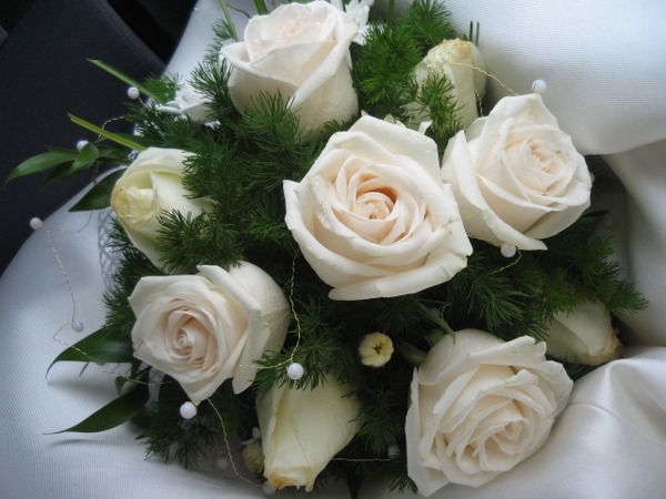 Анна Телятник