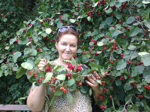 Наталья Верютина