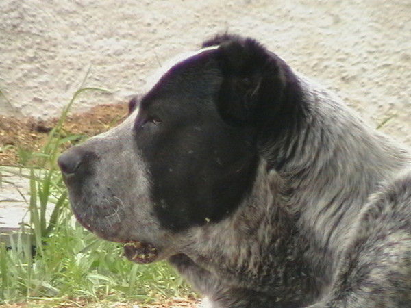 Евгений Савик