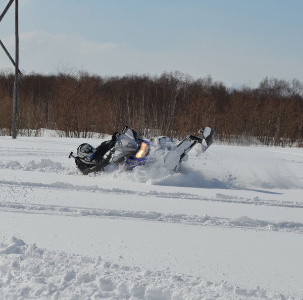 Александр Елисеенко