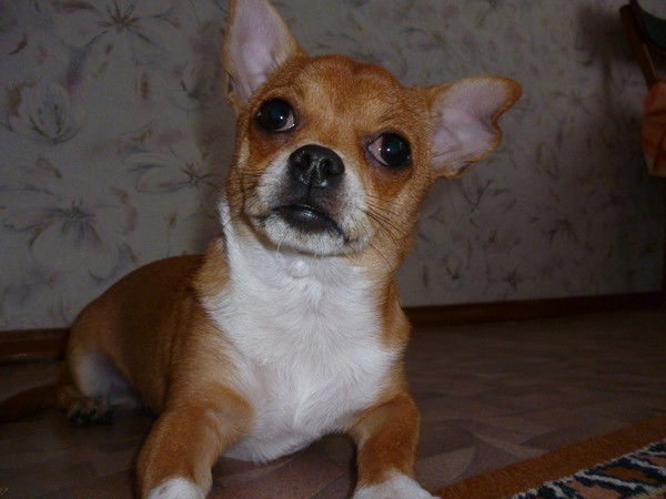 Ксения Иванова