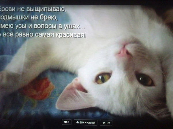 Алексей Михайлов