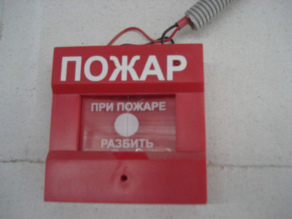 Филя Пронин