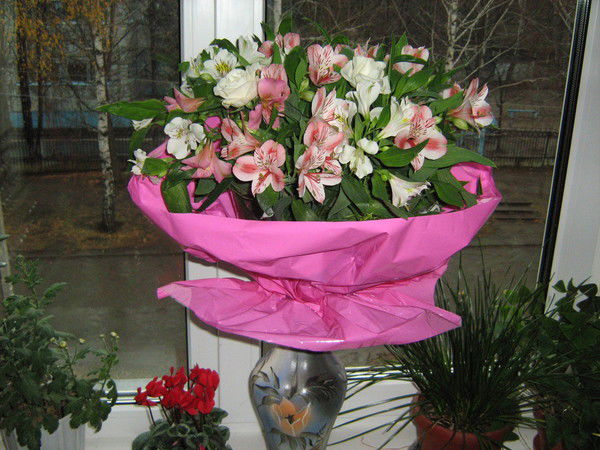 Ирина Барлова