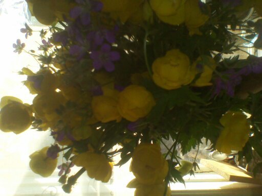 Альфия Аслаева