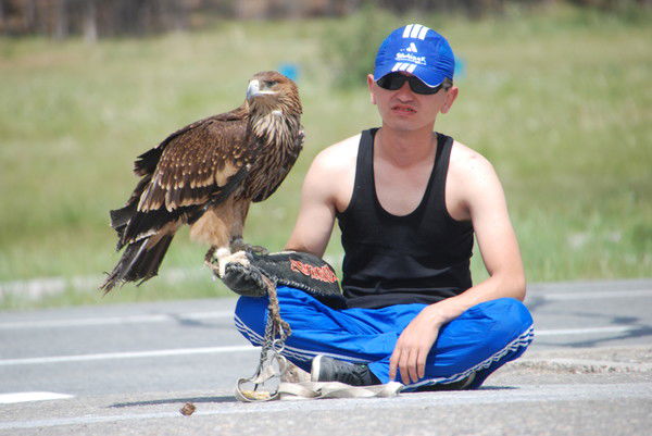 Алмас87021264181 Фотограф Видеограф Корт