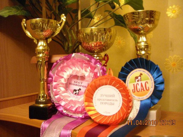 Надежда Борисовна