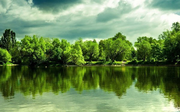 Рахил Алиев