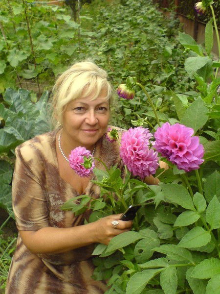 Елена Никитина