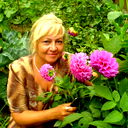Елена Никитина