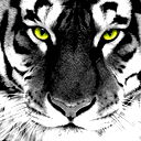 Сергей Моргунов