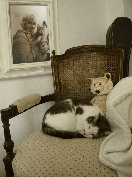 Валя Гнелица