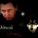 Санек Думает