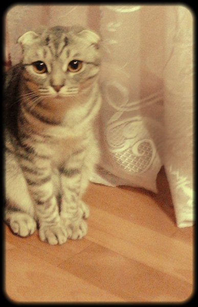 Мария Иванова