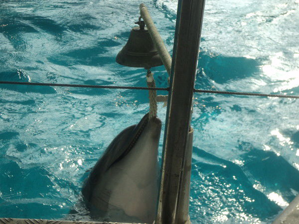 Марина Федотова