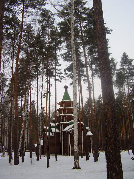 Геннадий Янин