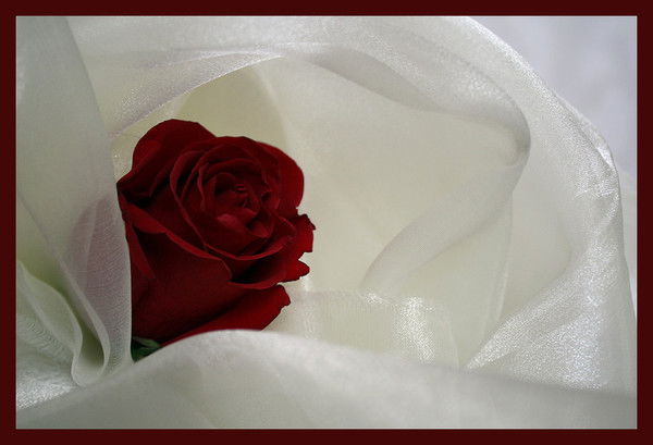 Nodira Kholmukhamedova