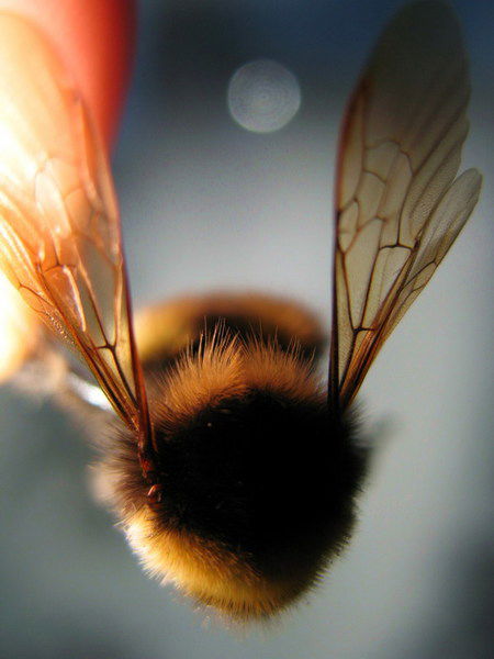 Сергей Подгайный