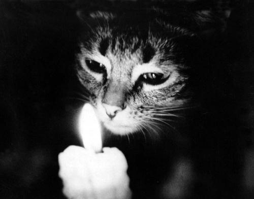 Сергей Панин