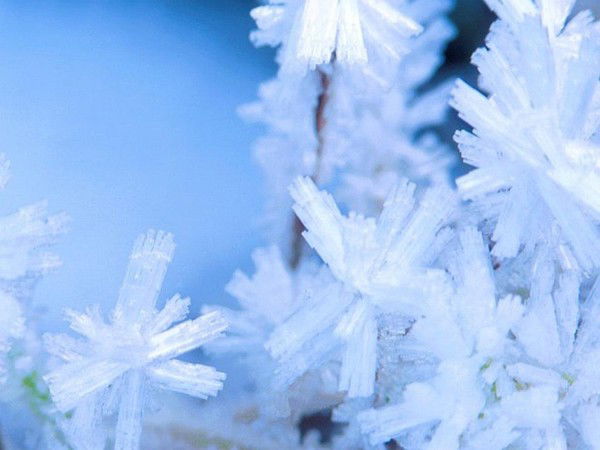 Владимир Батырь