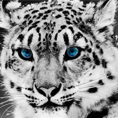 Андрей Пашковский