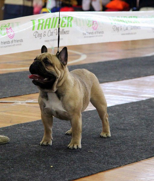 Наталья Суханова