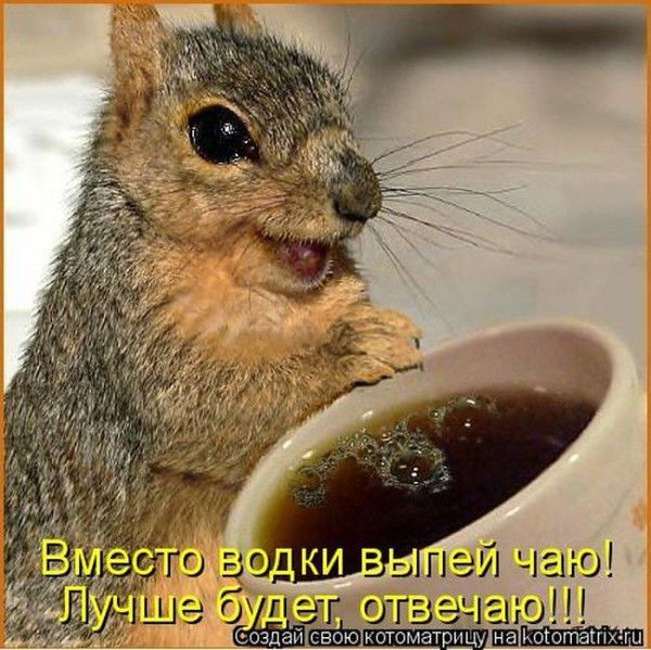 Жека Левочко