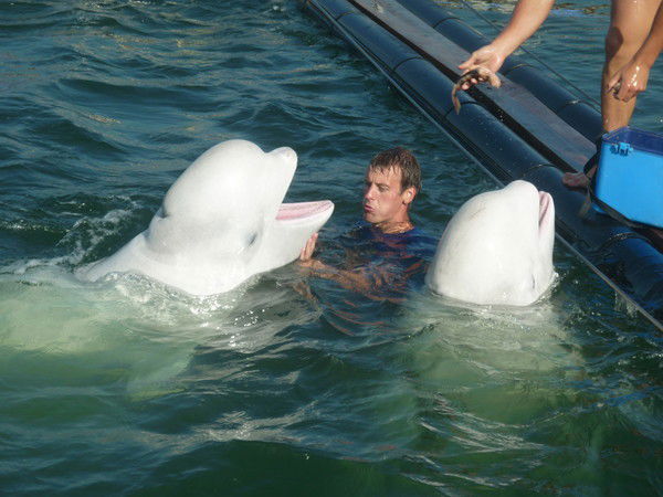 Андрей Фисенко