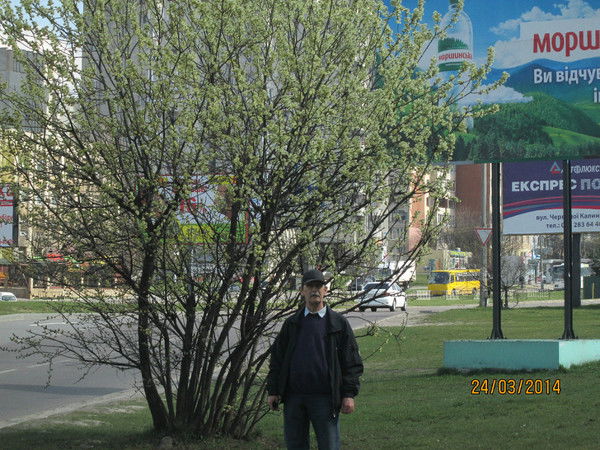 Александр Дармограй