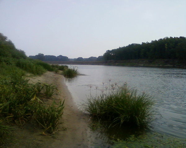 Петр Ромасев