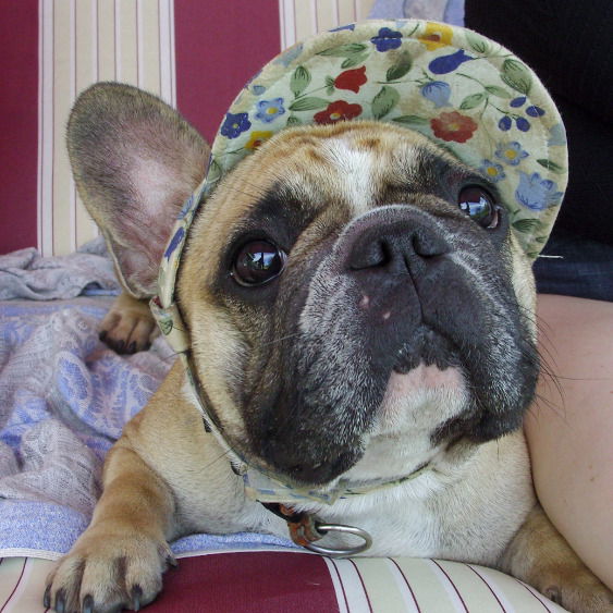 Елена Алексеенко