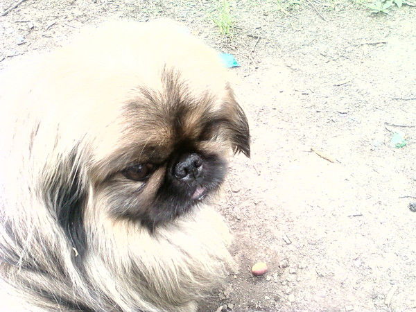 Оксана Вязьмина