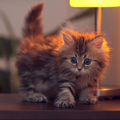 Татьяна Рыжук