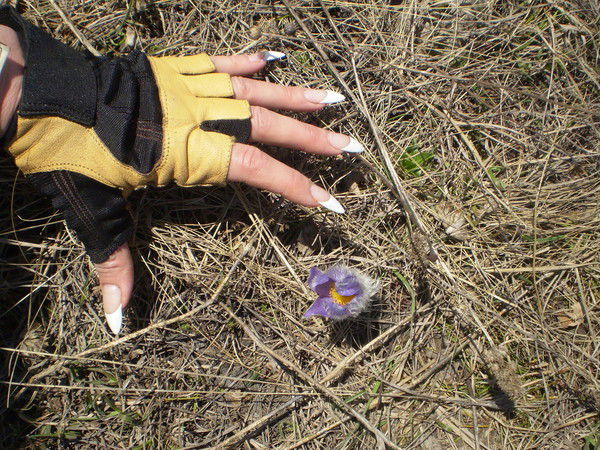 Анна Захарова