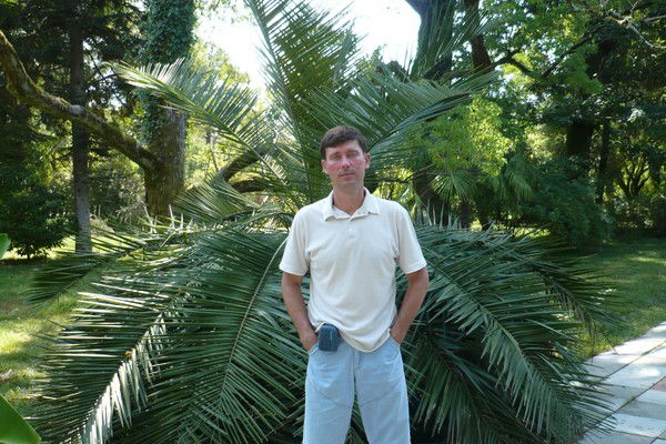 Дмитрий Золотарёв