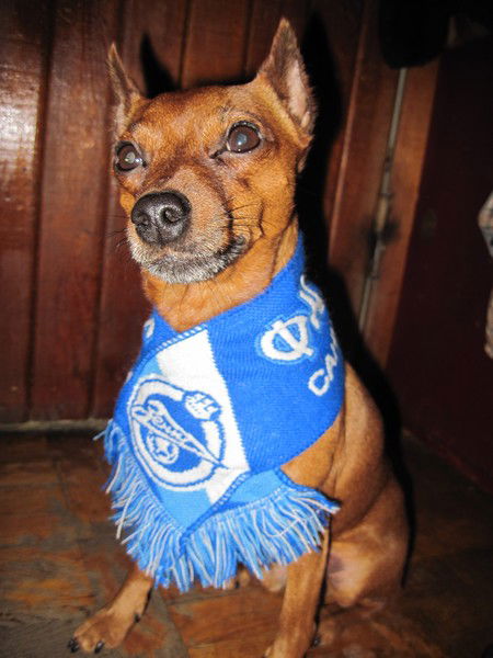 Наталья Захарова