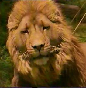 Александр Владимирович