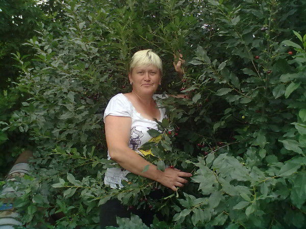 Светлана Шаповаленко