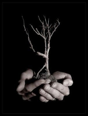 Жазира Жапар