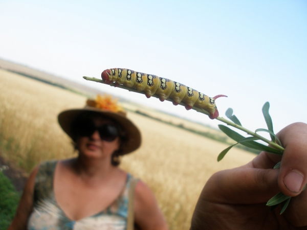 Ирина Назарова