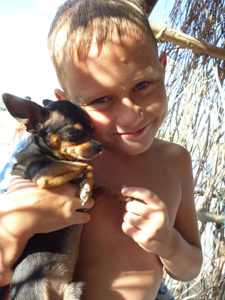 Сашок Суворёнок