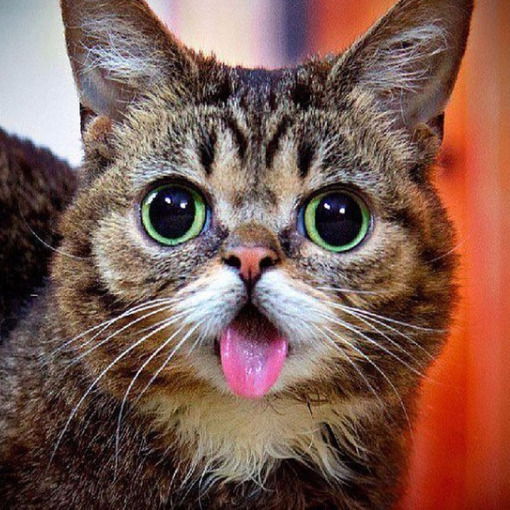 Паша І Альона Дубіч