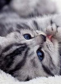 Лиля Ишбулдина