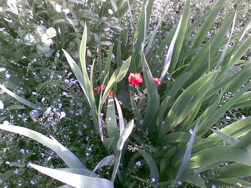 Елена Кузнецова