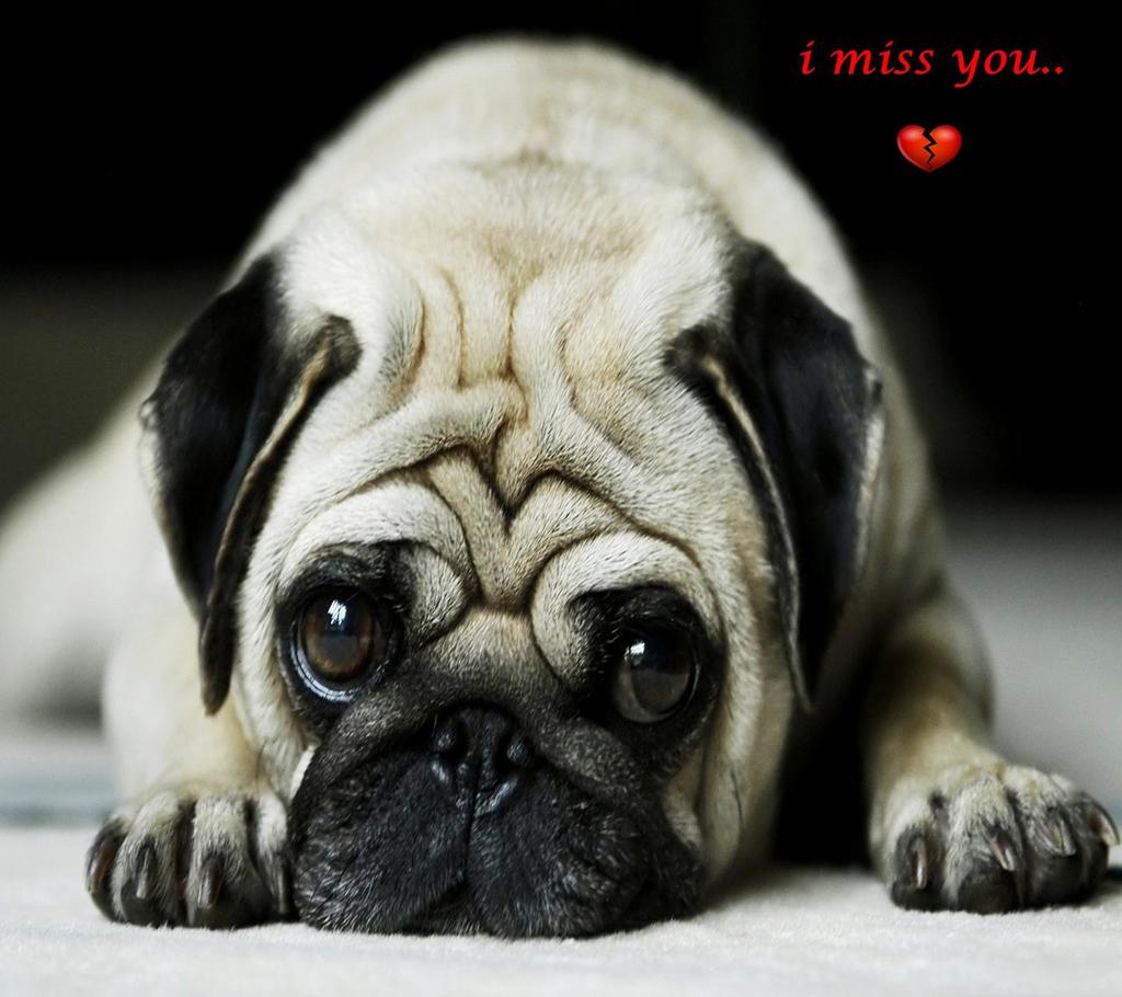 Евгений Стульников