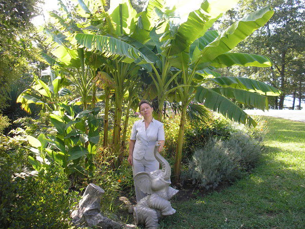 Елена Серёгина